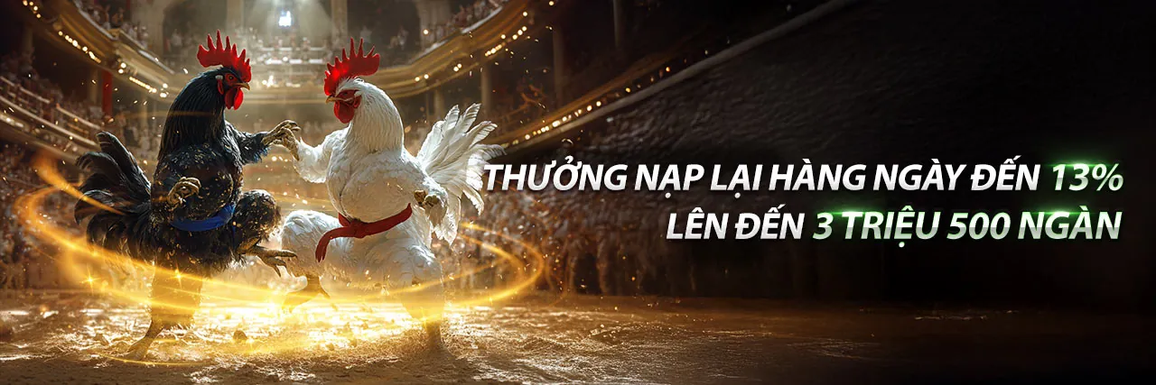 Đá gà PK8 trực tiếp với các chiến kê dũng mãnh