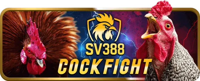 Hoàn trả cược PK8
